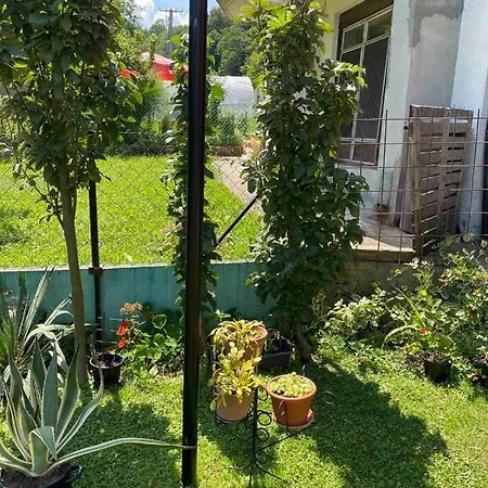 Joca Apartment Bajina Basta
