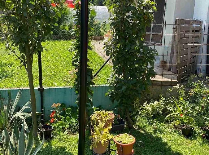 Joca Lejlighed Bajina Basta