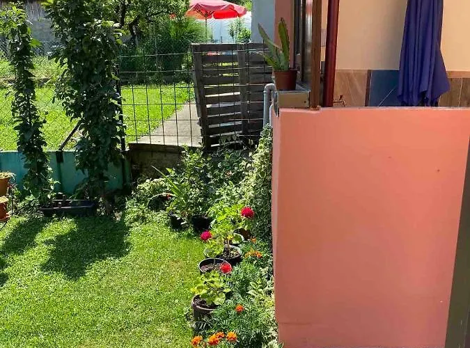 Joca 바이나 바슈타