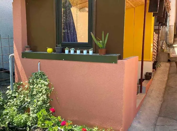 Joca * 바이나 바슈타