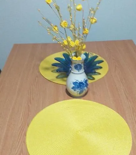 Joca * 바이나 바슈타