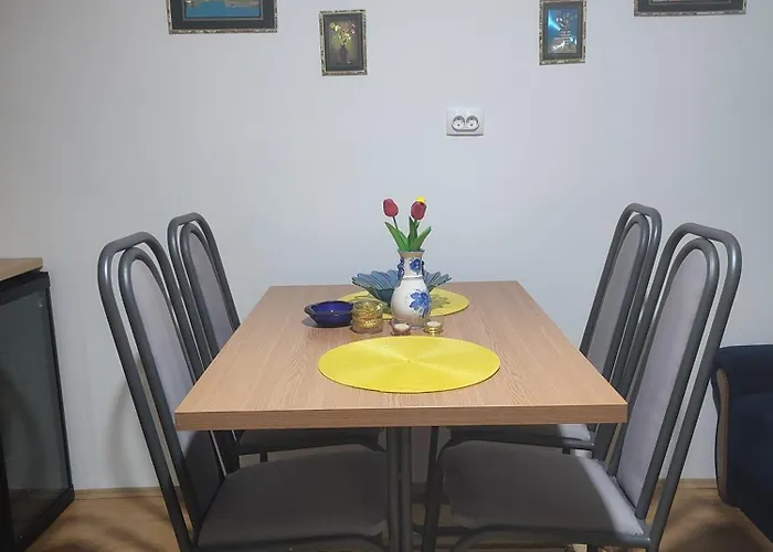 Joca * 바이나 바슈타