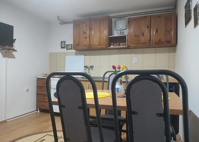 Joca * 바이나 바슈타