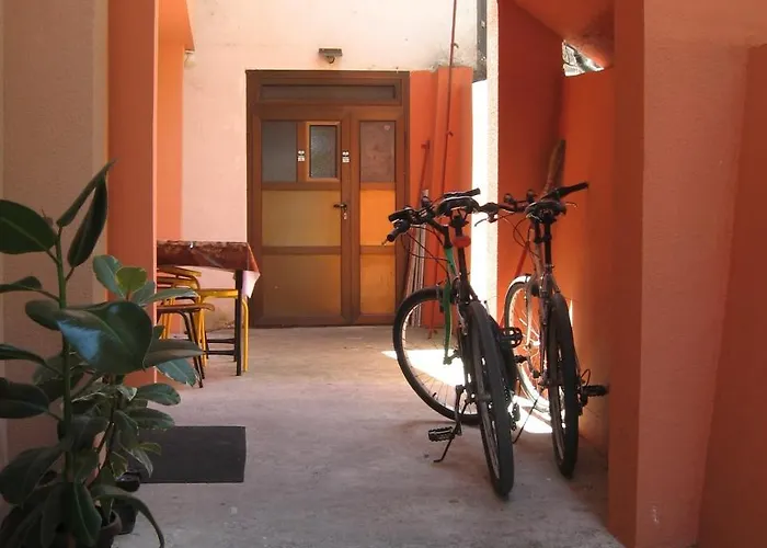 Joca * 바이나 바슈타