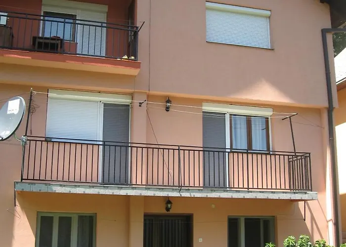 Joca 바이나 바슈타